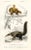 1849, Anteater Print, Antique French Hand-Colored Lithograph For Sale