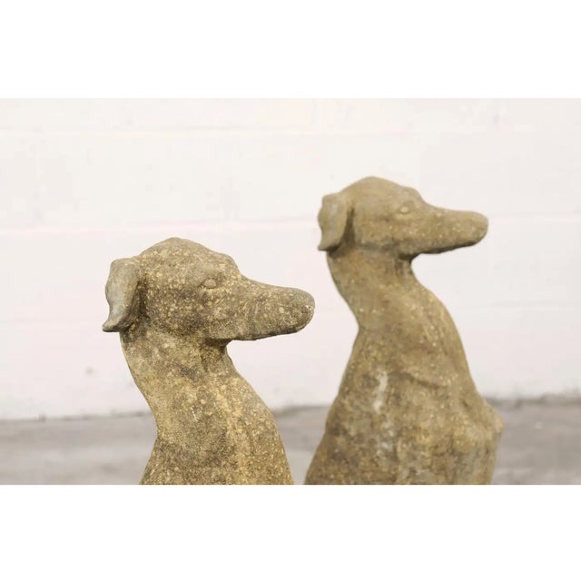 Mid 20th Century Pair of Stone Greyhound Garden Statues For Sale - Image 11 of 11