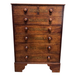 19th Century Chest of Drawers With Botanical Species For Sale