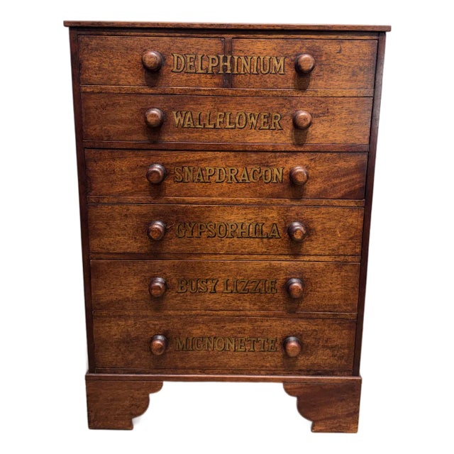 19th Century Chest of Drawers With Botanical Species For Sale
