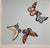 1: Commodity: Butterfly Wallpaper in blue Ground Color 2: Handicrafts: Premium Fine Art Printed 3: WallpaperMaterial:...