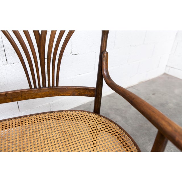 Hand-Caned Bentwood Bench from Fischel, 1930s For Sale - Image 18 of 18
