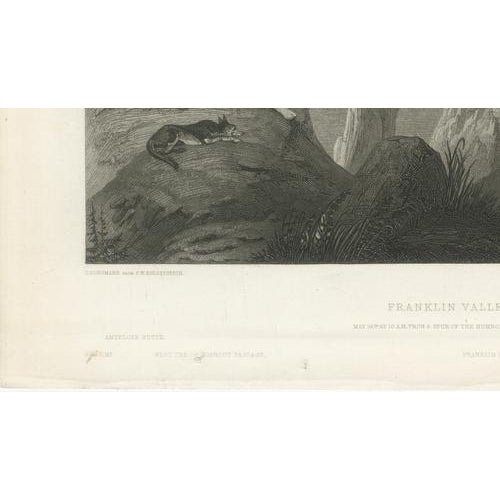 Paper After C. Schumann, Franklin Valley, Great Basin Nevada, Engraving, 1855 For Sale - Image 7 of 9