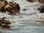 F. Yayboke Turkish Coastal Seascape Signed Oil Painting, Circa 1960's For Sale In San Francisco - Image 6 of 12