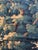Antique 17th Century Flemish Verdure Landscape Tapestry For Sale - Image 10 of 10