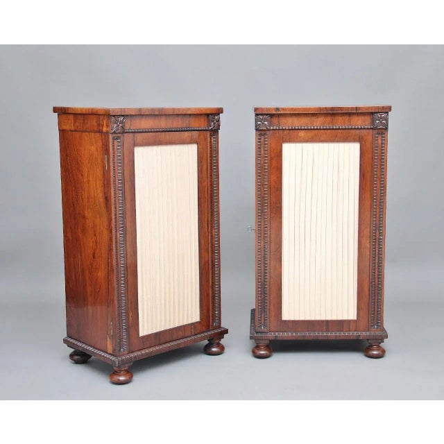 Rosewood Pedestal Cabinets, 1830s, Set of 2 For Sale - Image 12 of 14