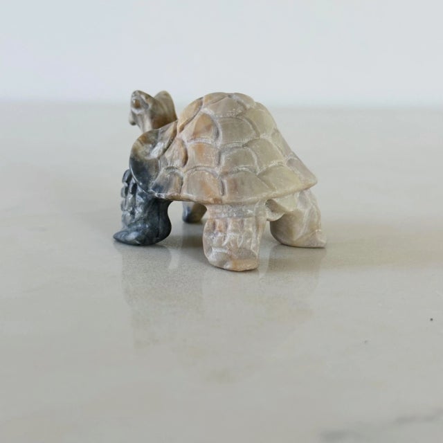 African Mid-Century Hand Carved African Tortoise of Stone For Sale - Image 3 of 7