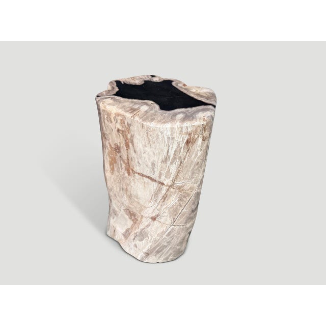 2020s Andrianna Shamaris Abstract High Quality Petrified Wood Side Table For Sale - Image 5 of 5