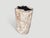 2020s Andrianna Shamaris Abstract High Quality Petrified Wood Side Table For Sale - Image 5 of 5