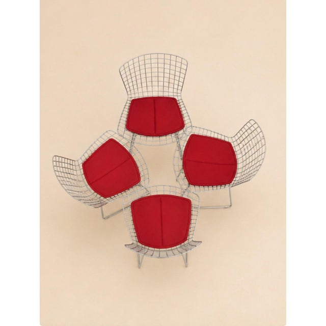 Harry Bertoia Wire Chairs by Harry Bertoia for Knoll Int., 1970s, Set of 4 For Sale - Image 4 of 9
