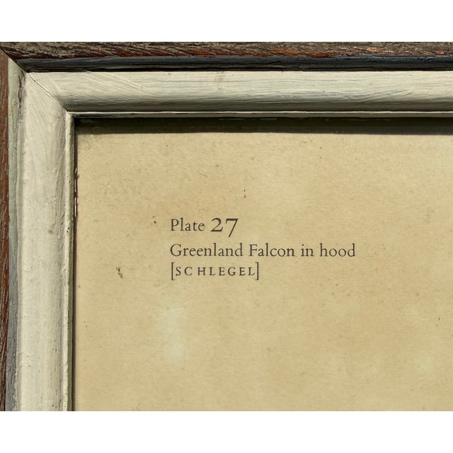 Mid 20th Century Framed Print of Greenland Falcon, Joseph Wolf, From "Traité De Fauconnerie" For Sale In Boston - Image 6 of 14