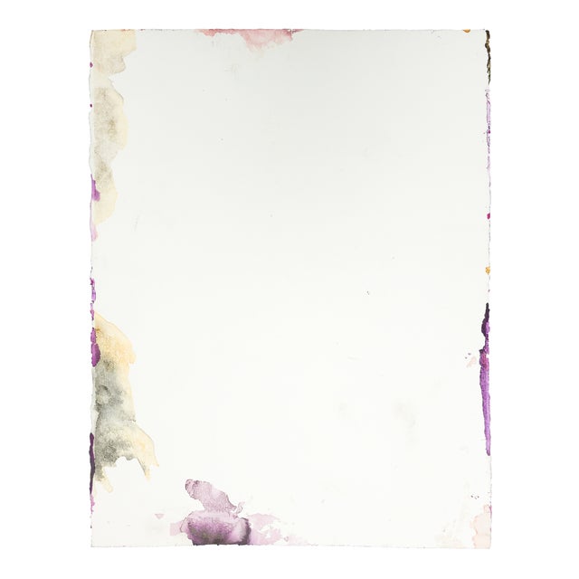 Paint Purpureum Skull - Fran Bull, C. 1990s For Sale - Image 7 of 8