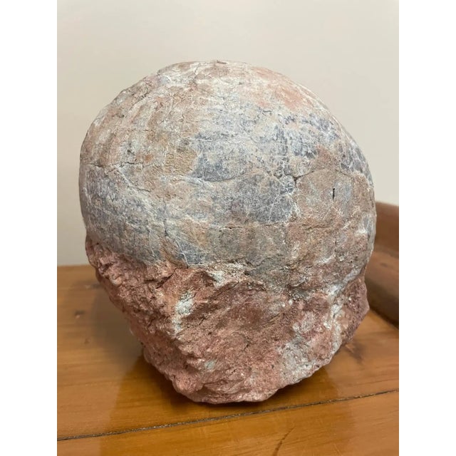 15th Century & Earlier Prehistoric Petrified Dinosaur Egg with Cracked Surface For Sale - Image 5 of 13