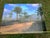 Old Florida; Highlands Hammock Park, Sebring Florida Photo Print, Pines and Palmetto. Four by Three Feet in Plastic For Sale - Image 9 of 18