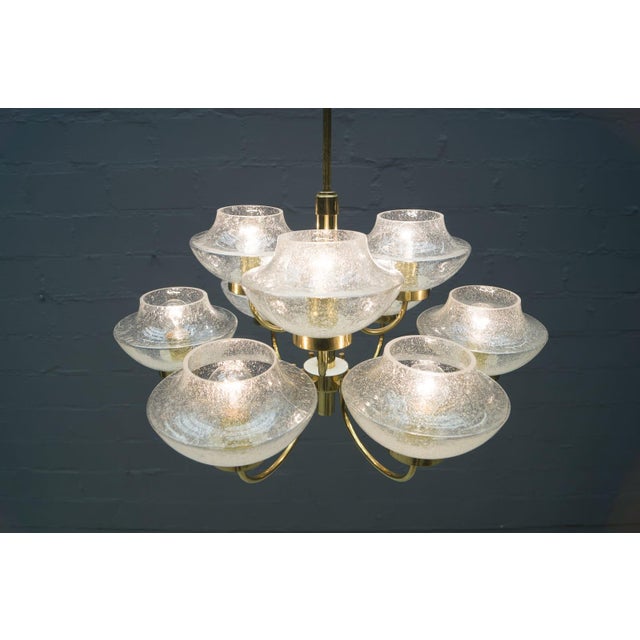 Vintage Glass and Brass Chandelier with Nine Heads, 1960s For Sale - Image 4 of 14