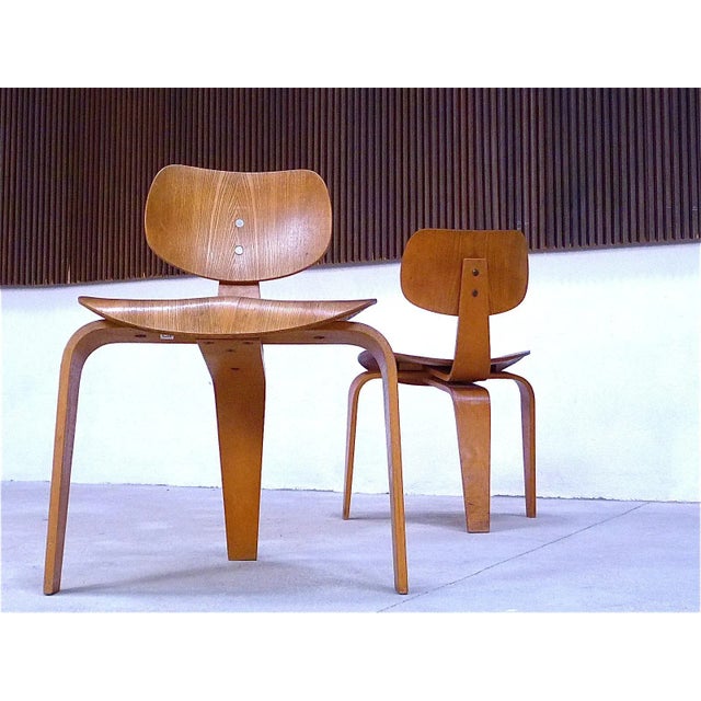German SE 42 Dining Chairs by Egon Eiermann for Wilde & Spieth, 1949, Set of 4 For Sale - Image 6 of 11
