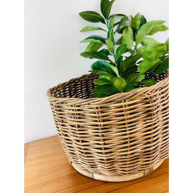 1970s Vintage Rustic Woven Wicker / Reed Basket Planter Organizer For Sale - Image 5 of 8