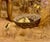 Alice Coutts –Young Native American Pomo Girl W/Her Chicks-19th C. Oil Painting For Sale In Los Angeles - Image 6 of 13