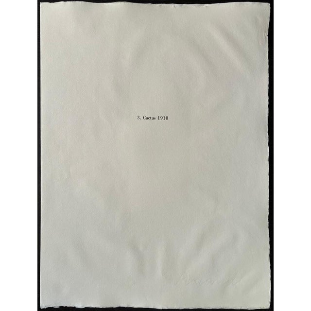 1970s Giorgio Morandi, Cactus, 1973, Lithograph For Sale - Image 5 of 10