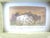 Miniature hand colored Western style hand colored etching of a white bison created by Mary Lehman Limited edition 36/50,...