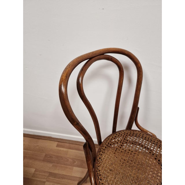 Wood Bent Beechwood Dining Chairs from Salvatore Leone, Late 19th Century, Set of 4 For Sale - Image 7 of 11