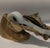 1960s Ted Arnold Ltd. Brass Tone Metal Horse Head Tape Dispenser For Sale In Atlanta - Image 6 of 10