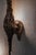 High and Dry Sconce in Patinated Cast Bronze by William Guillon For Sale - Image 4 of 17