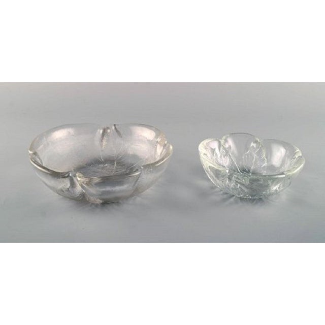 1980s Art Glass Set Decorated with Leaves from Orrefors, 1980s, Set of 13 For Sale - Image 5 of 10