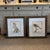 Pair of Italian Parrot Prints For Sale - Image 12 of 12