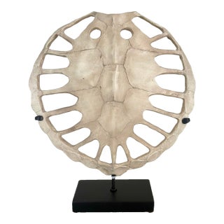 Wildwood Organic Modern Sulcata Turtle Sculpture For Sale