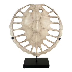 Wildwood Organic Modern Sulcata Turtle Sculpture