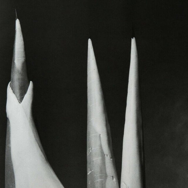 Abstract Mariana Yampolsky "Maguey Capado" Lithographic Photo Print Limited 29 of 250 Signed For Sale - Image 3 of 5