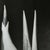 Abstract Mariana Yampolsky "Maguey Capado" Lithographic Photo Print Limited 29 of 250 Signed For Sale - Image 3 of 5