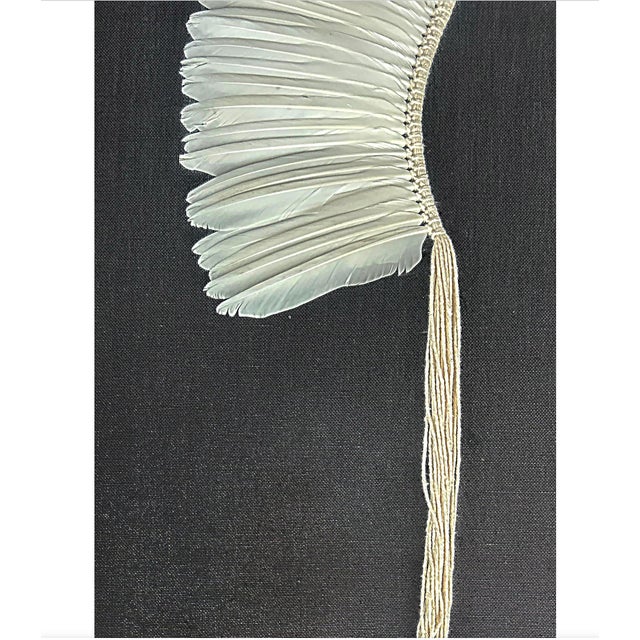 2010s Brazilian Kayapó Wall Decor | Amazon Indigenous Feather Headdress 'Cocar' For Sale - Image 5 of 11