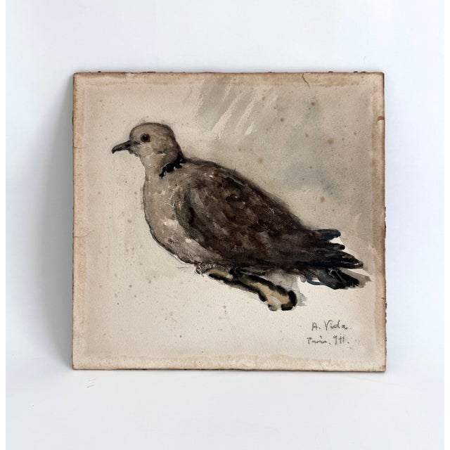Realism Original 1911 French Belle Epoque Watercolor Painting of a Dove, Signed A. Vida For Sale - Image 3 of 7