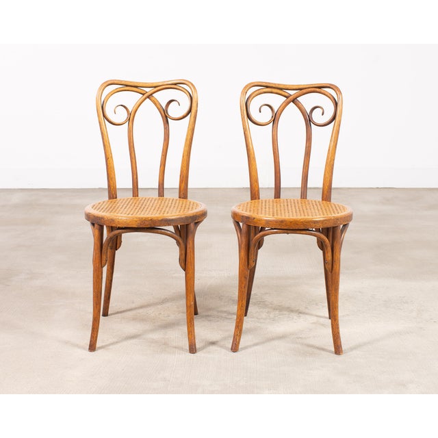 Art Nouveau Pair of J & J Kohn Thonet Bentwood Cane Viennese Café Chairs For Sale - Image 3 of 17