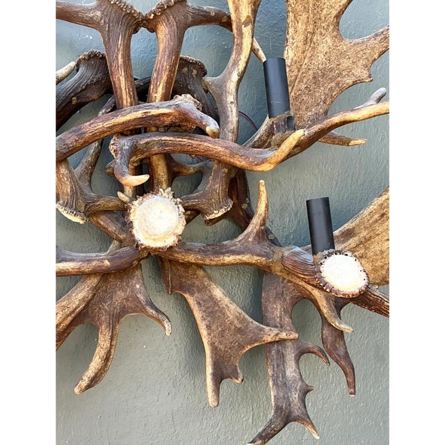 Vintage Monumental Antler and Metal Wall Sconce For Sale - Image 9 of 12