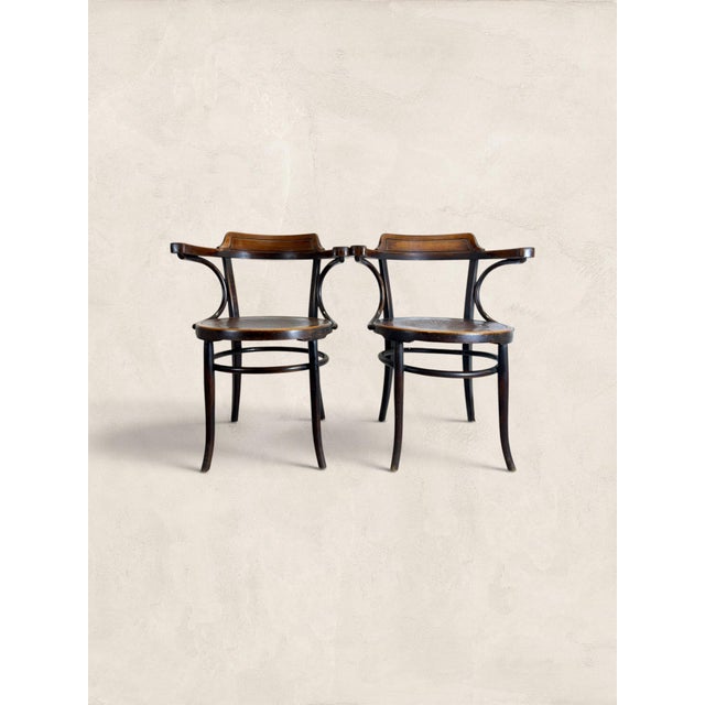 Coffee Antique Pair of English Art Nouveau Bentwood Armchairs For Sale - Image 8 of 10