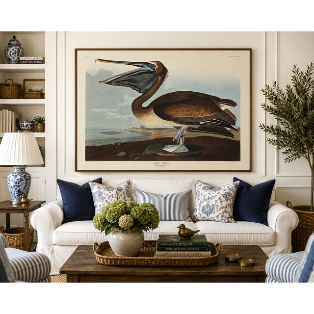Illustration Brown Pelican, Vintage Art Print Reproduction From Birds of America by John James Audubon, 48″ × 32″ For Sale - Image 3 of 9