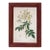 Rosa Moschata Musk Rose Vintage Color Illustration Reproduction Print Behind Glass in Wood Frame For Sale