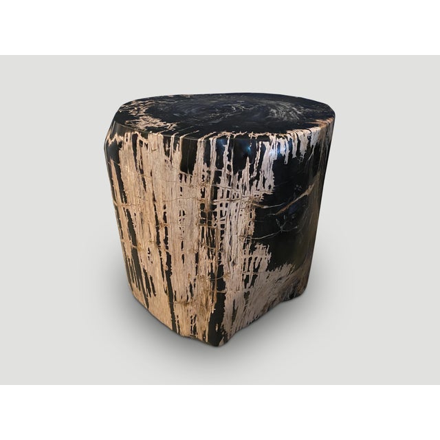 15th Century & Earlier Andrianna Shamaris Ancient Sculptural Petrified Wood Side Table For Sale - Image 5 of 18