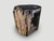 15th Century & Earlier Andrianna Shamaris Ancient Sculptural Petrified Wood Side Table For Sale - Image 5 of 18