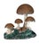 Vintage Brutalist Style Cast Stone Mushroom Garden Sculpture For Sale In West Palm - Image 6 of 11