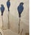 Decorative Limited Edition French Wallpaper Panels of Birds For Sale In Richmond - Image 6 of 8
