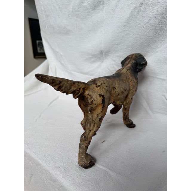 1930s Posing English Setter Ready for the Hunt For Sale - Image 5 of 12