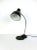 Bauhaus Style Zirax Desk Lamp by Dr. Ing. Schneider & Co, 1920s or 1930s For Sale - Image 13 of 13