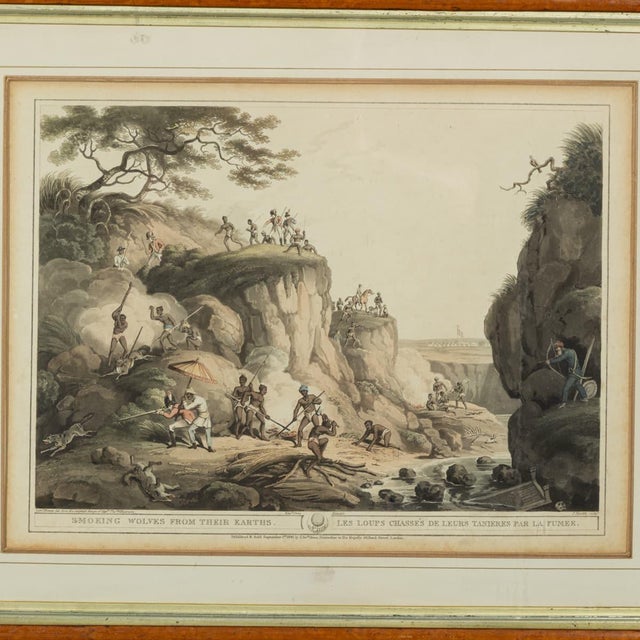 Edward Orme, Hunting Wolves in Their Dens, 1806, Engraving For Sale - Image 6 of 18