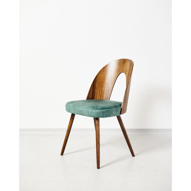 Antonin Suman Chair, 1970s For Sale - Image 6 of 6