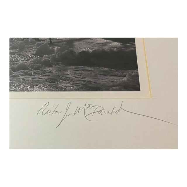 Late 20th Century Signed Gelatin Silver Print ‘Washington Park’ by Anita MacDonald – Framed Black & White Winter Landscape Photograph For Sale