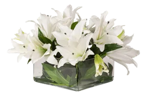 Eternity Square Lilium Set Arrangement from VGnewtrend